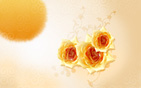 Flower Wallpapers new 10